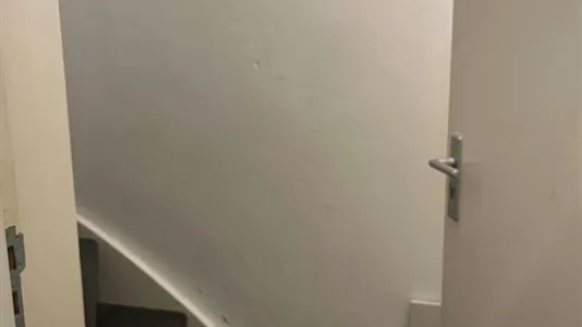 Apartments in Haarlem - photo 4