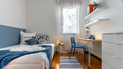 Room for rent in Padua, Veneto