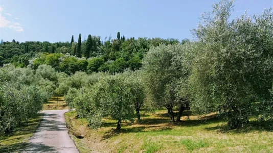 Houses in Lastra a Signa - photo 4