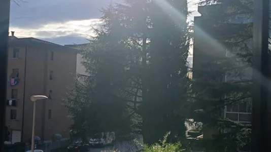 Rooms in Pisa - photo 1