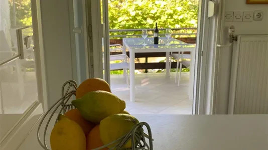 Houses in Besnica - photo 2