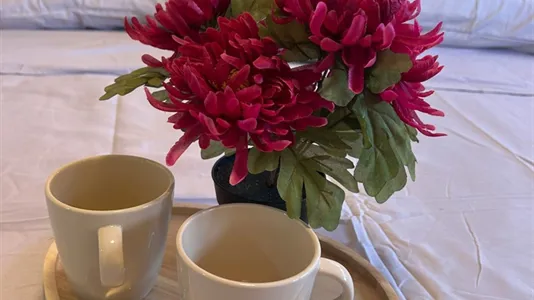 Rooms in Madrid Moncloa-Aravaca - photo 6