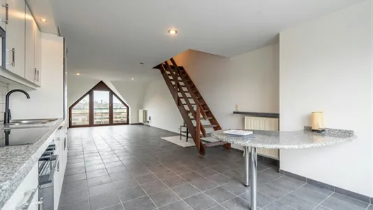 Apartments in Mol - photo 2