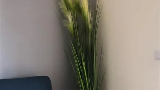 Rooms in Location is not specified - photo 5