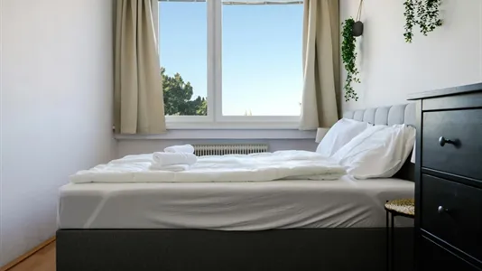 Apartments in Bad Fischau-Brunn - photo 10