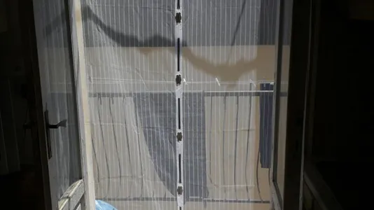 Rooms in Pisa - photo 7