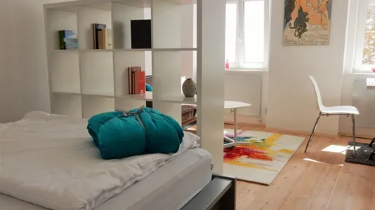 Apartments in Vienna Josefstadt - photo 5