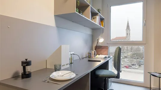 Apartments in Eggersdorf bei Graz - photo 5