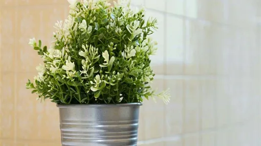 Rooms in Milano Zona 6 - Barona, Lorenteggio - photo 10