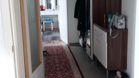 Rooms in Bernhardsthal - photo 6