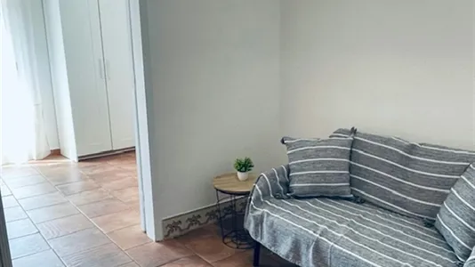 Apartments in Sousel - photo 10