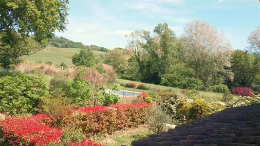 Houses in Montespertoli - photo 7