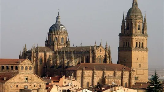 Rooms in Salamanca - photo 8