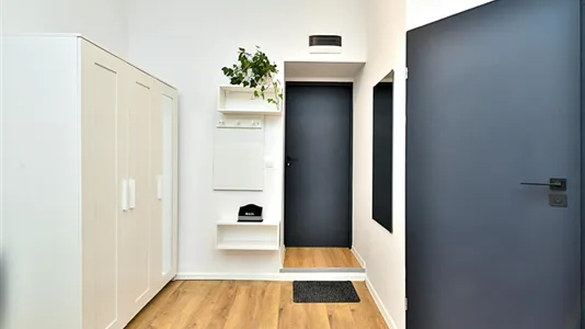 Apartments in Łódź - photo 9