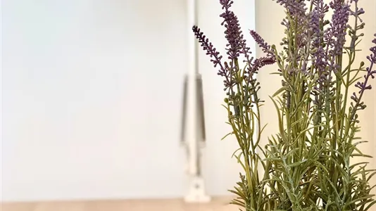 Rooms in Padua - photo 6