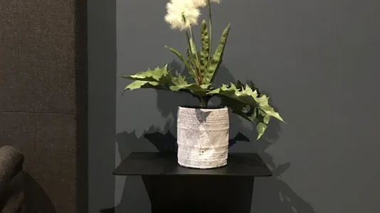 Apartments in Dusseldorf - photo 8