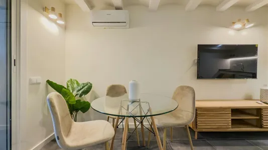 Apartments in Barcelona Ciutat Vella - photo 4