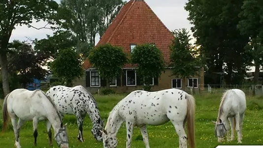 Apartments in Franekeradeel - photo 4