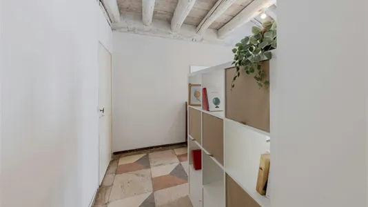 Rooms in Padua - photo 5