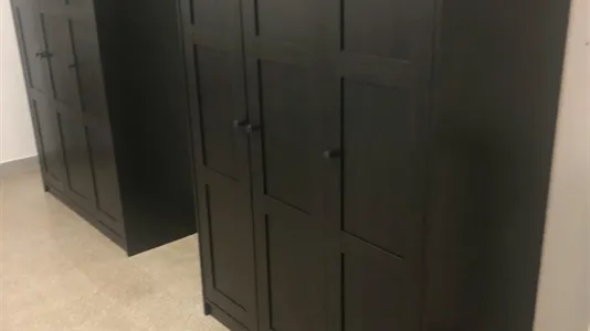 Rooms in Roma Municipio VI – Roma Delle Torri - photo 4