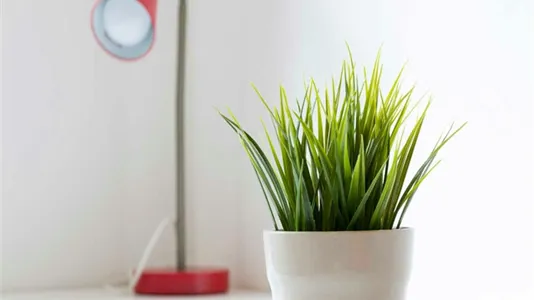 Rooms in Milano Zona 9 - Porta Garibaldi, Niguarda - photo 9