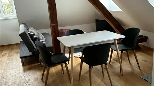 Apartments in Graz - photo 5