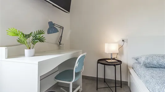 Rooms in Sassari - photo 4