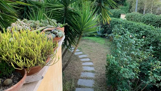 Apartments in Roma Municipio X – Ostia/Acilia - photo 10