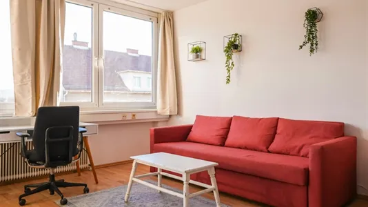 Apartments in Bad Fischau-Brunn - photo 10