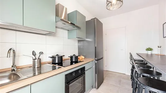 Rooms in Padua - photo 4