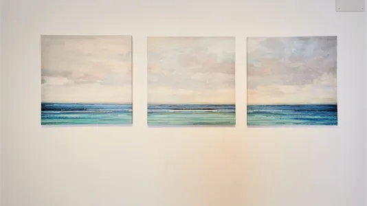 Apartments in Madrid Tetuán - photo 8