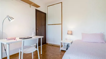 Room for rent in Padua, Veneto