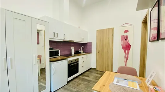 Apartments in Budapest Terézváros - photo 8