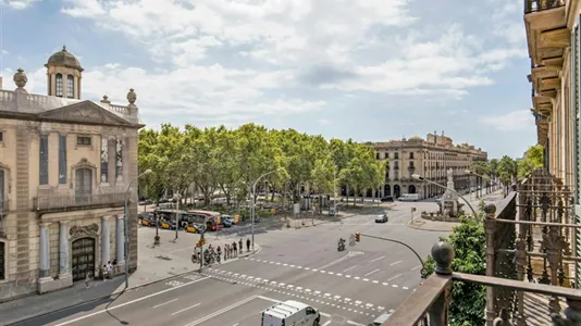 Apartments in Barcelona Ciutat Vella - photo 4