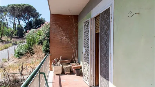 Rooms in Roma Municipio VIII – Appia Antica - photo 5