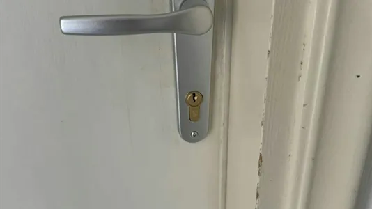 Rooms in Pisa - photo 4