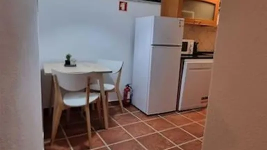 Apartments in Alter do Chão - photo 8