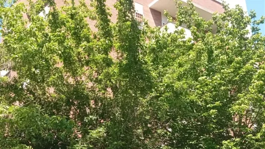 Apartments in Roma Municipio IV – Tiburtino - photo 8