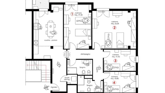 Rooms in Padua - photo 1