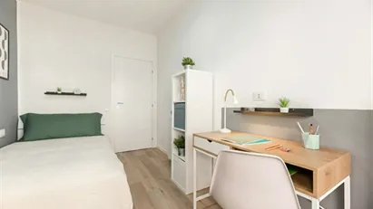 Room for rent in Padua, Veneto