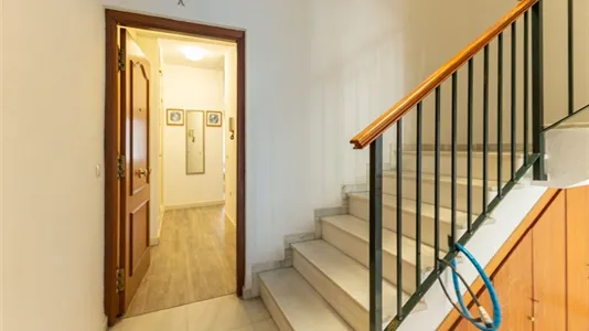 Apartments in Sevilla Casco Antiguo - photo 4