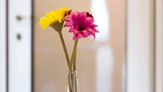 Rooms in Milano Zona 1 - Centro storico - photo 10