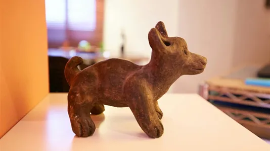 Apartments in Madrid Salamanca - photo 10