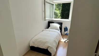 Room for rent in Berlin