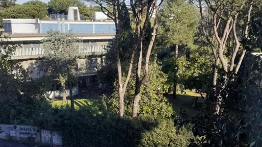 Rooms in Roma Municipio XIV – Monte Mario - photo 1