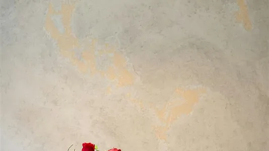 Apartments in Florence - photo 10