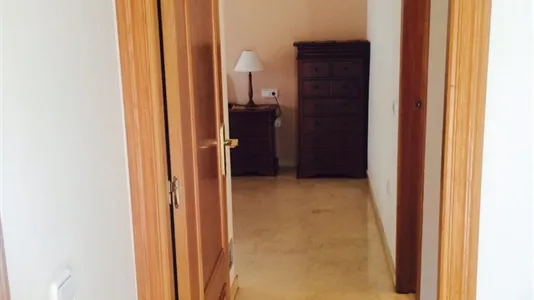 Rooms in la Punta - photo 6