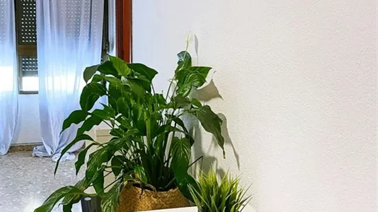 Rooms in Alboraya - photo 8