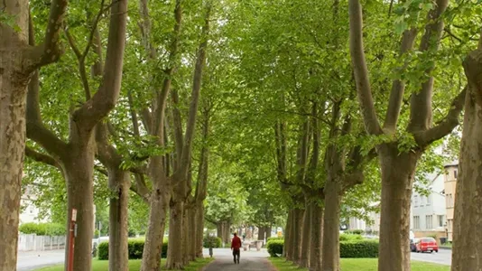 Apartments in Offenbach am Main - photo 4