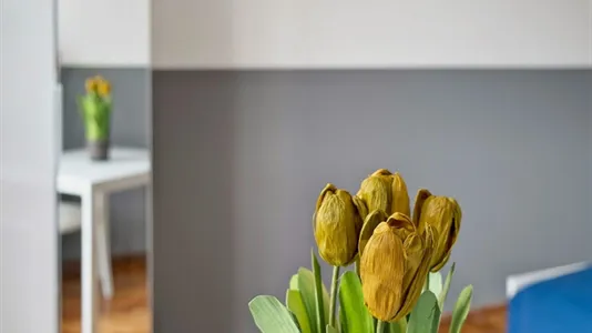 Rooms in Turin - photo 5